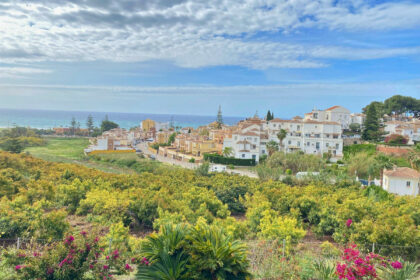 c65d47fb405766f235f2ff6115b72806 - 1