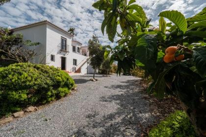 c65d47fb405766f235f2ff6115b72806 - 2