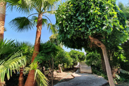 ccaab9728f2ea49072d1d7224ab85703 - 34