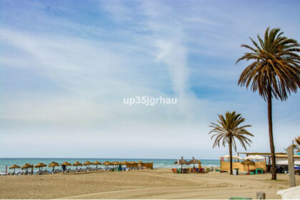 cce63adb8cb6e02c3856bd39a9ff0cdf - 13