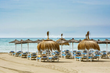 cd535d5d57c15894484b3622bf042063 - 23