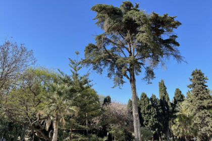 d2b0725203486f658ff2730dde891e39 - 20