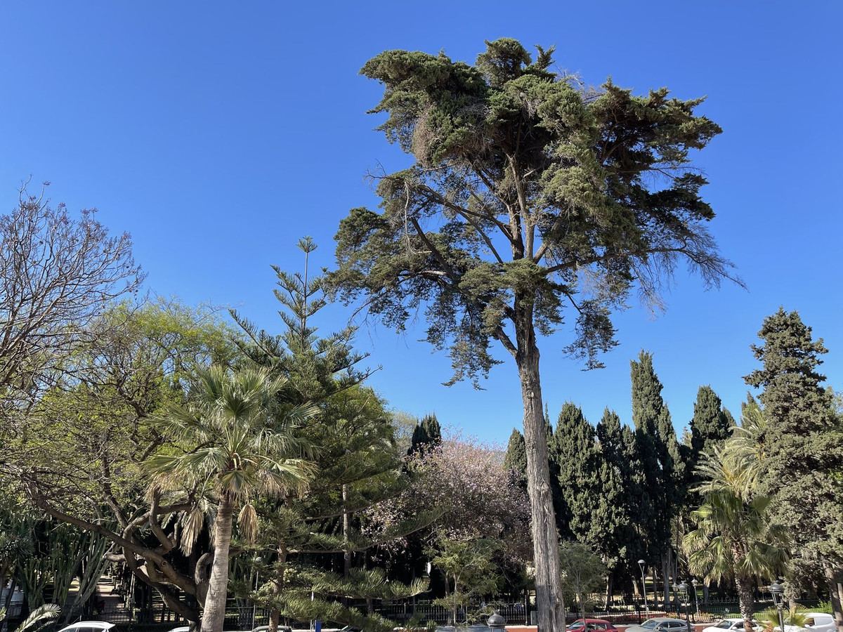 d2b0725203486f658ff2730dde891e39 - 20