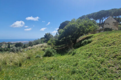 d4cc099cc6754140c597b558281306a3 - 5