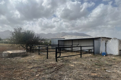 d75e83d08d0699c71bd693dd2475c8fc - 29