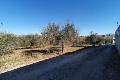 e5d1a82ef4282c3f530e421a246d2af5 - 2