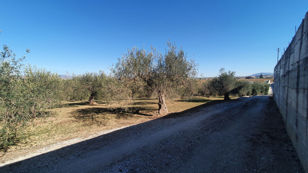 e5d1a82ef4282c3f530e421a246d2af5 - 2