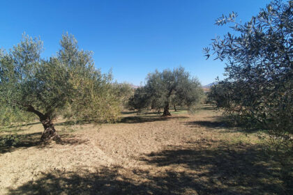 e5d1a82ef4282c3f530e421a246d2af5 - 3