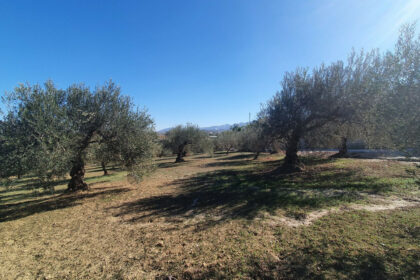 e5d1a82ef4282c3f530e421a246d2af5 - 4