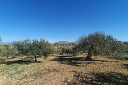 e5d1a82ef4282c3f530e421a246d2af5 - 5