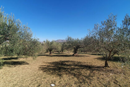 e5d1a82ef4282c3f530e421a246d2af5 - 6