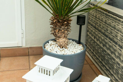 ee337e7698e9770b4de5c03fbe4d3c41 - 20