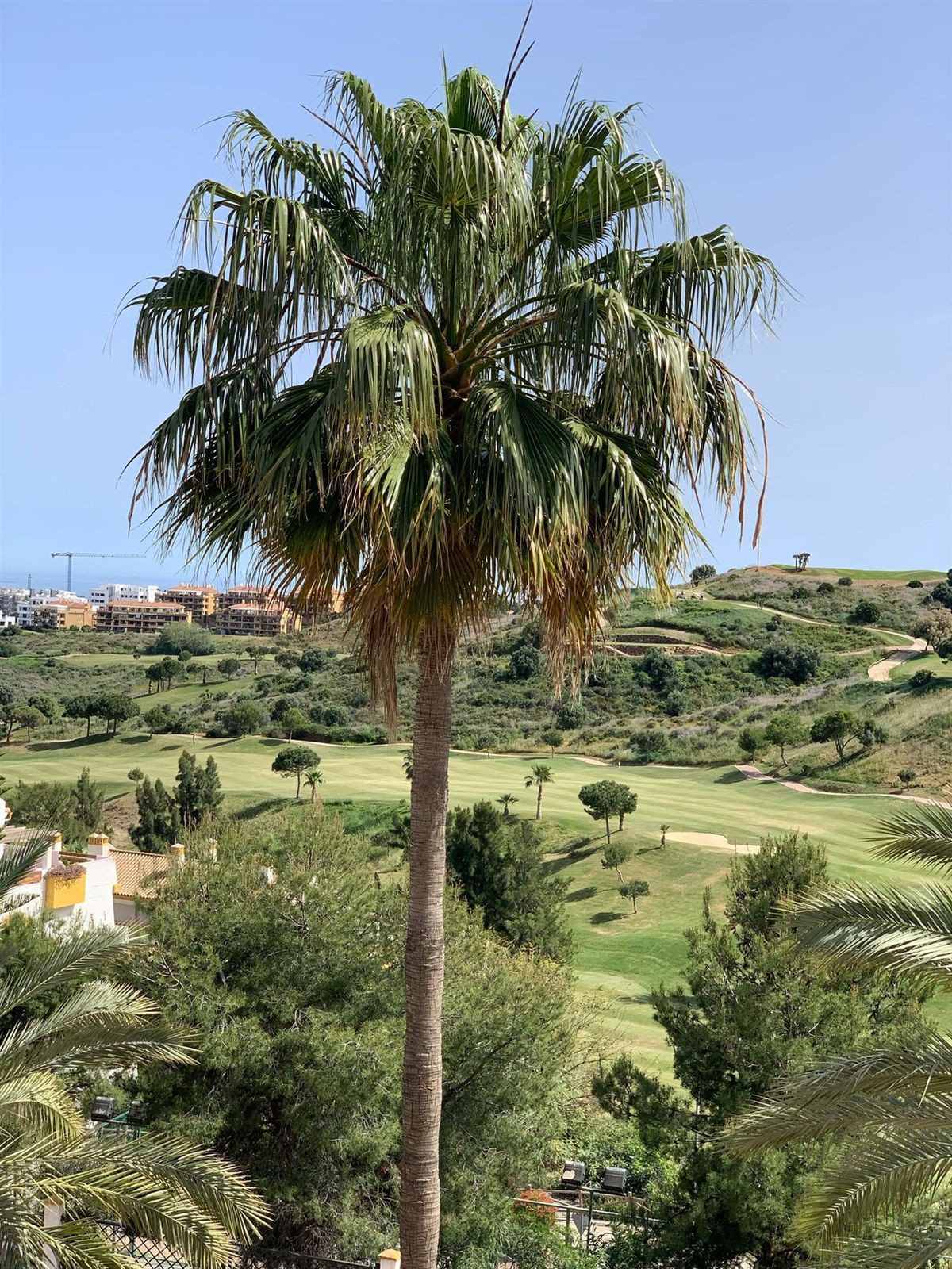 f2ec51767d0a878d0c62a709891860a7 - 26