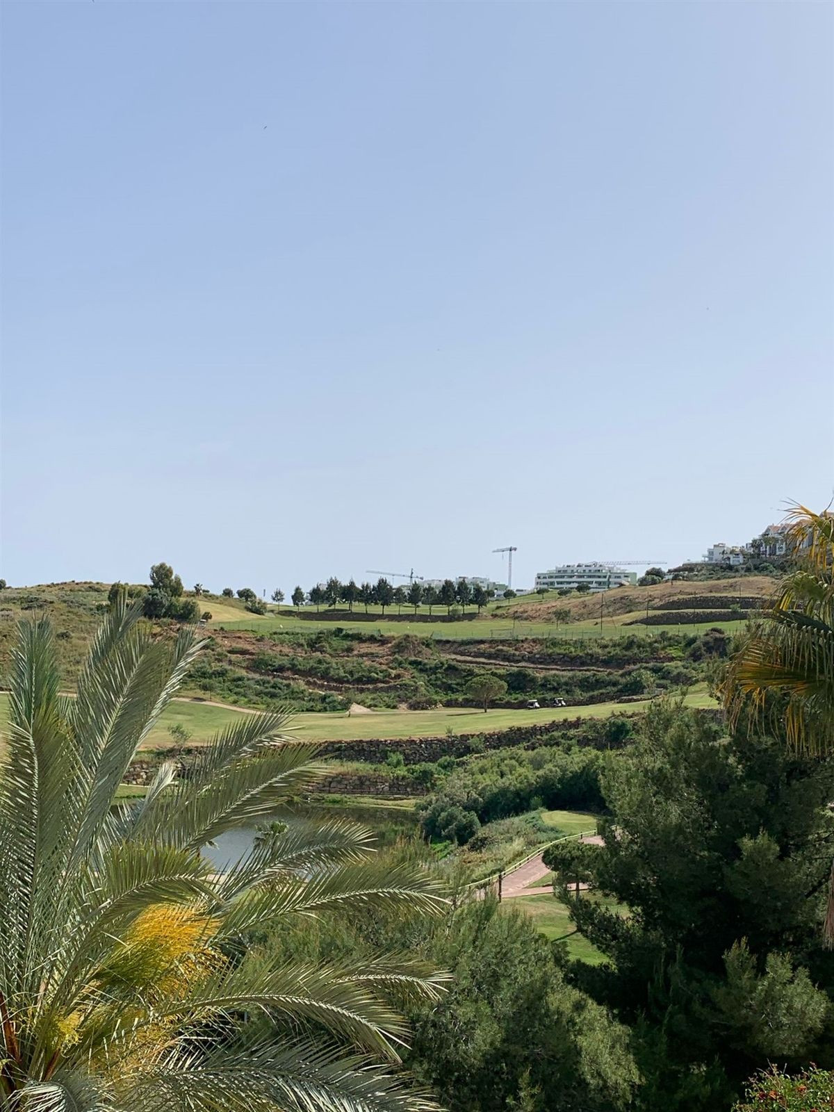 f2ec51767d0a878d0c62a709891860a7 - 29