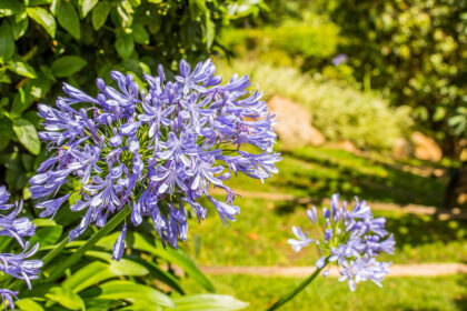 f52416f268e04cef729d5fdae28ad5c7 - 12