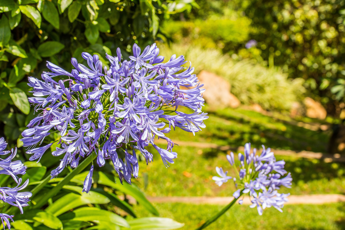 f52416f268e04cef729d5fdae28ad5c7 - 12