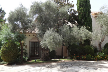 f52416f268e04cef729d5fdae28ad5c7 - 48