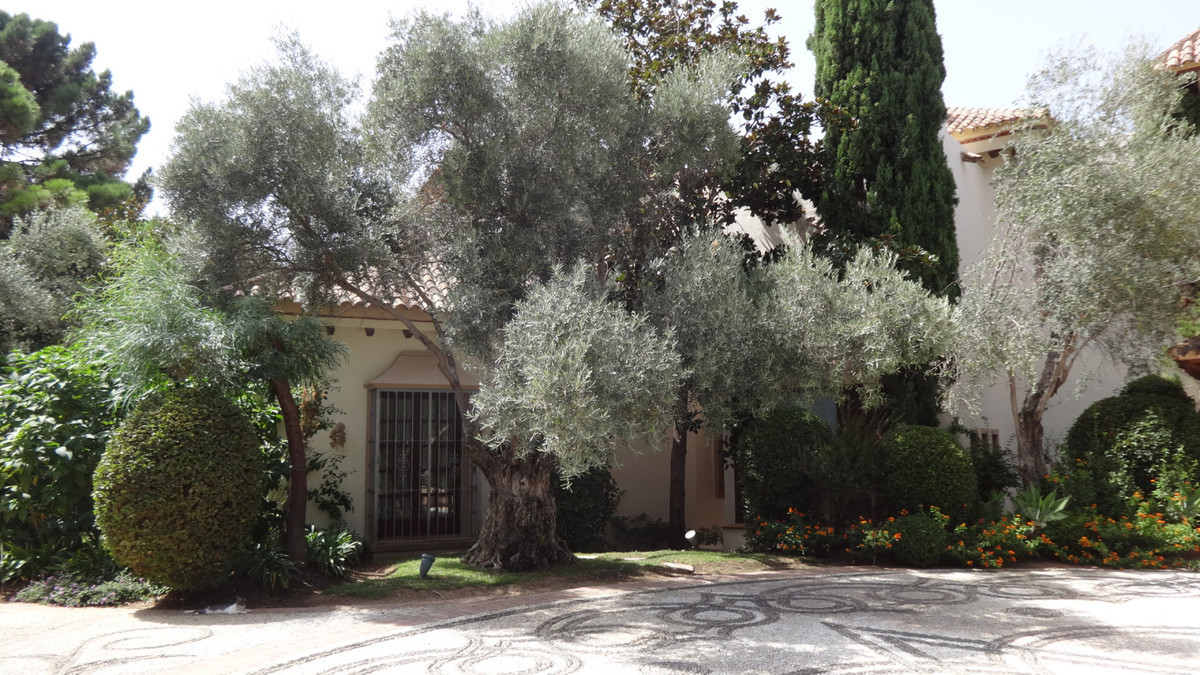 f52416f268e04cef729d5fdae28ad5c7 - 48