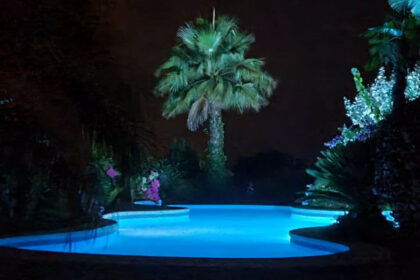 f52416f268e04cef729d5fdae28ad5c7 - 51