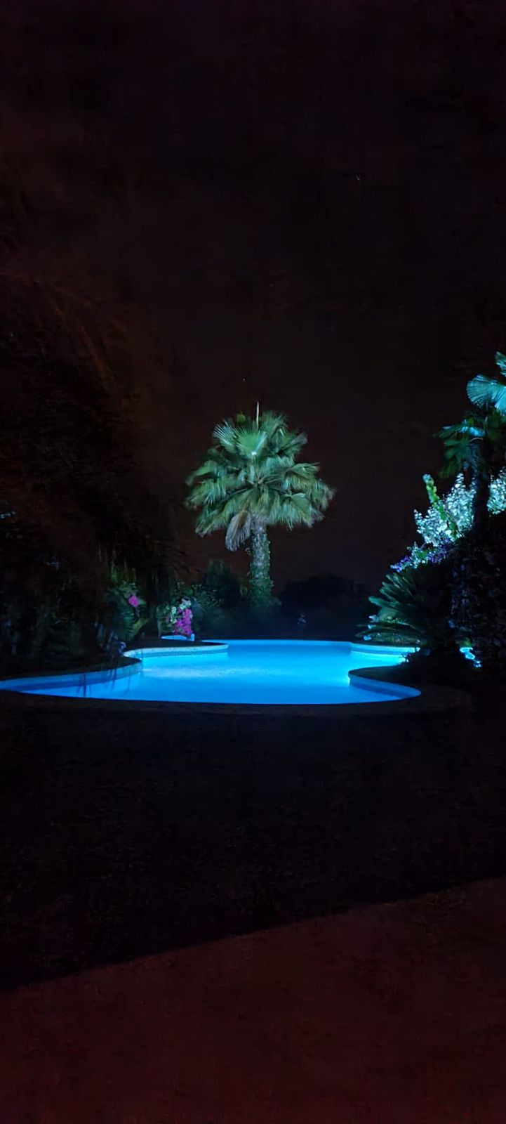 f52416f268e04cef729d5fdae28ad5c7 - 51