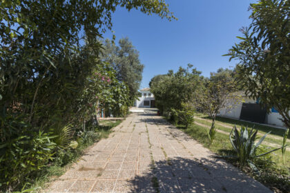 0cd961eaf782ea90fcef385d849af65e - 37