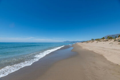 2389b4a4e07e2bc9adde5ef4cd382698 - 44