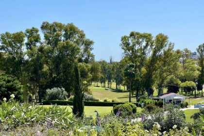 271eca8ae814bc2834ad71b890131534 - 24