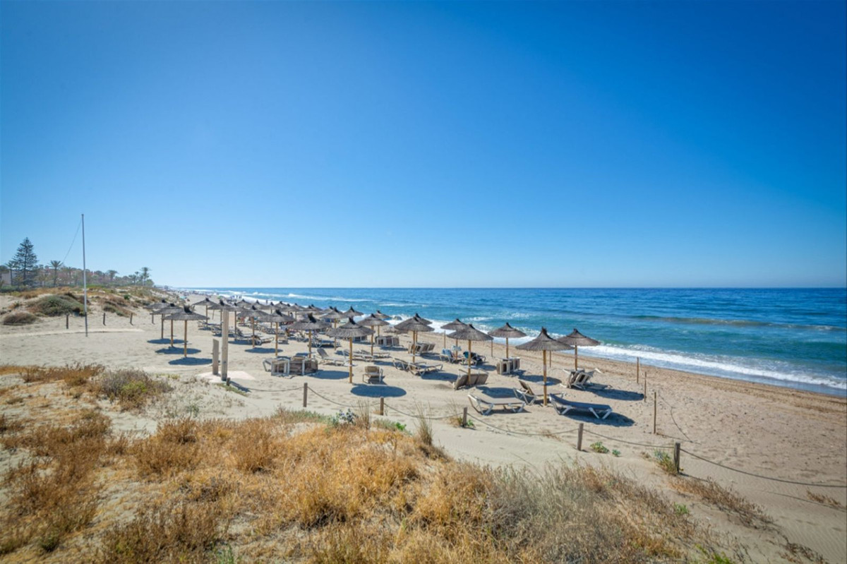 2b1d52b30fd66ccc68584f95b3d1775e - 18