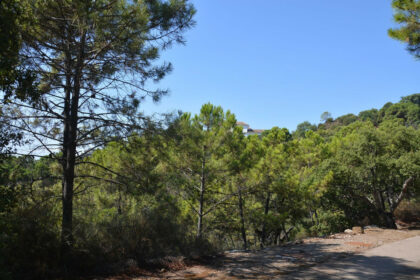 2f1f5065d675b72893c533f5bb4939e8 - 12