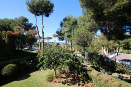 32892006b0ff828e42b52aa39748ea58 - 29