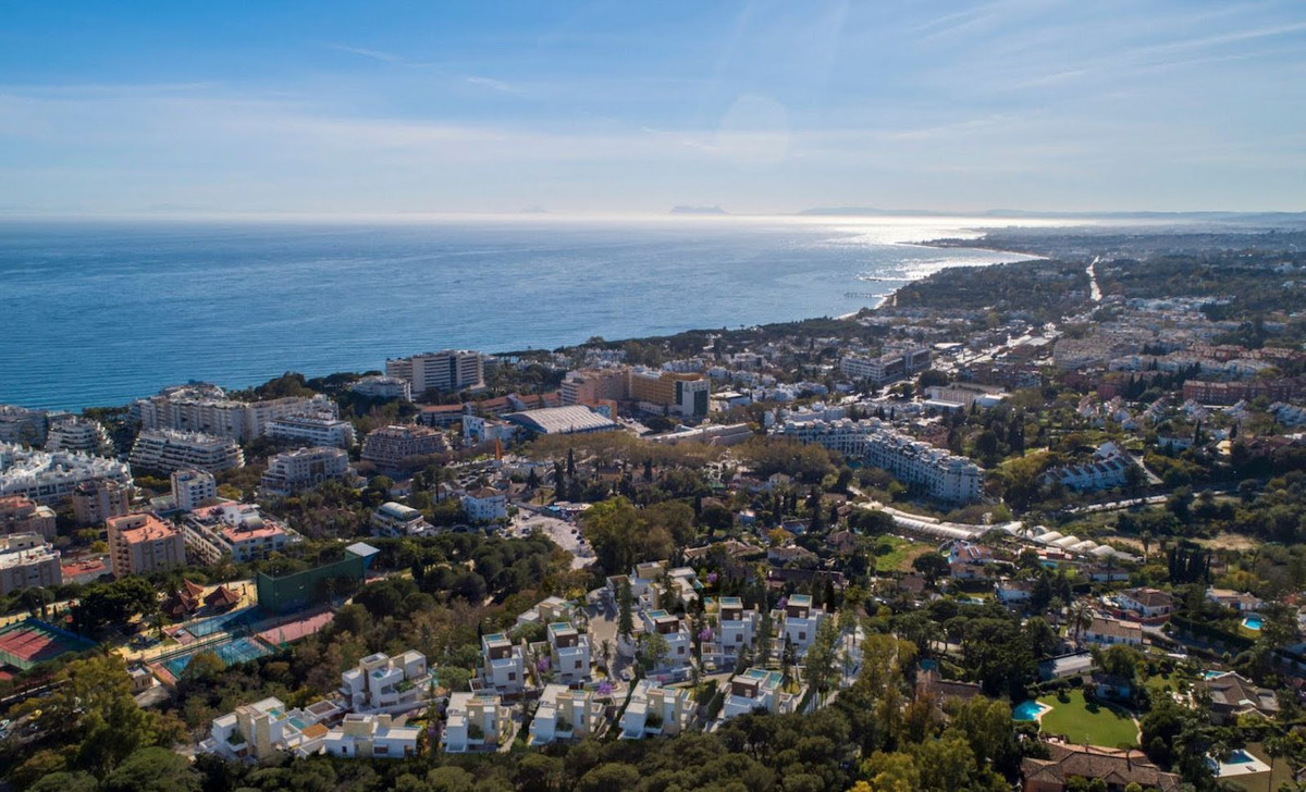 3aeeda46dc60b12d0bd1618d10d6d993 - 45