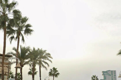 484b6c15eba36b794357901c70d912a8 - 13