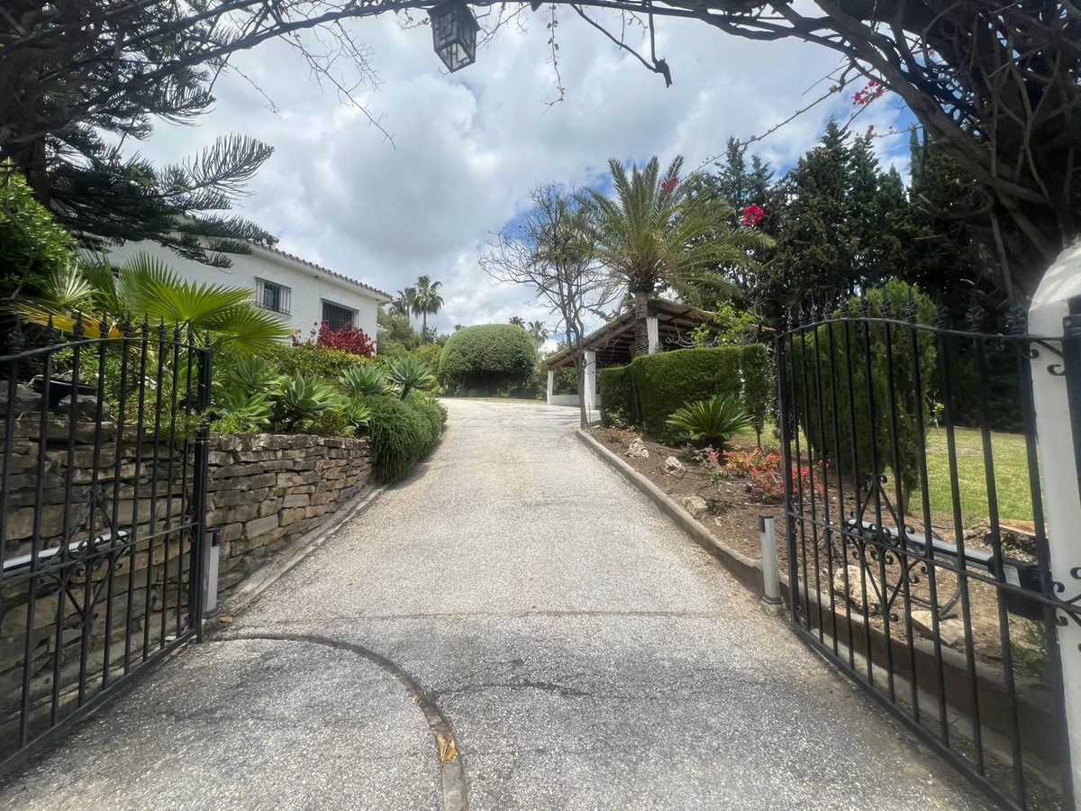 591ce3a468ce7b198552ae6c9f9d2950 - 24