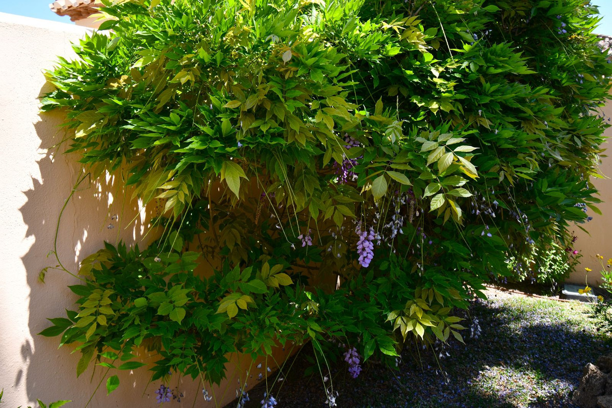 8291400f56e3ba5e5df2fb786607e4fd - 95