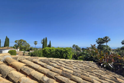 830919d5b6472e991a4250eda9c9c184 - 41