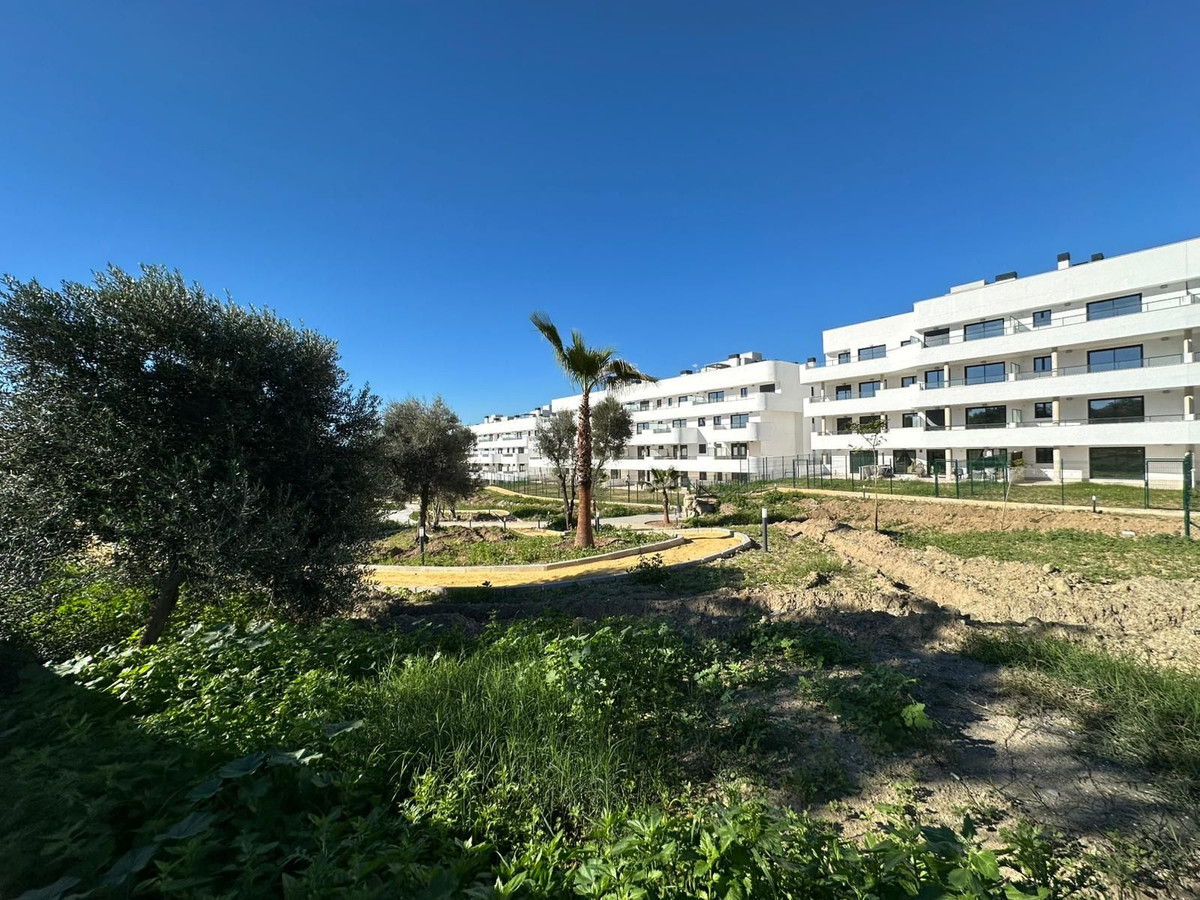 ae16e4fc902836b4765044fb79193b96 - 20