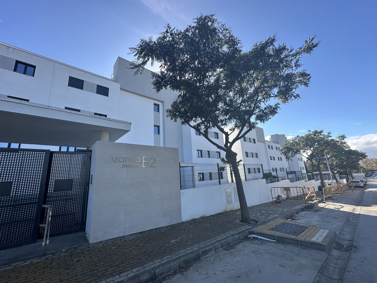 ae16e4fc902836b4765044fb79193b96 - 24