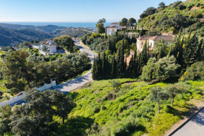 b40d990d6c1f2f094c6c5f76619a28f4 - 1