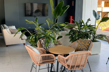 b994c0f5d157692ac5ea79729ca136bc - 13