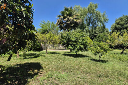 c2bf521605ec2eee44d5cf74aaad3167 - 30