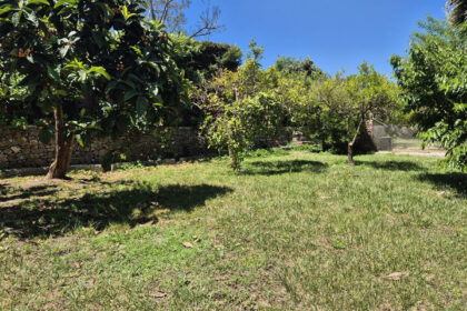 c2bf521605ec2eee44d5cf74aaad3167 - 31