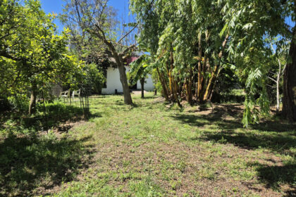 c2bf521605ec2eee44d5cf74aaad3167 - 32