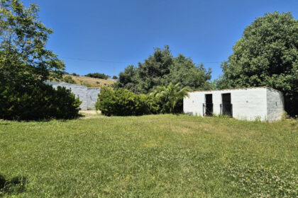 c2bf521605ec2eee44d5cf74aaad3167 - 33