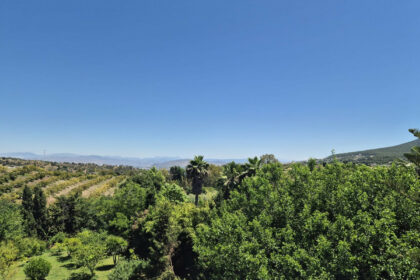 c2bf521605ec2eee44d5cf74aaad3167 - 50