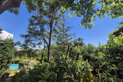 c2bf521605ec2eee44d5cf74aaad3167 - 51