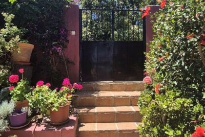 c2bf521605ec2eee44d5cf74aaad3167 - 52