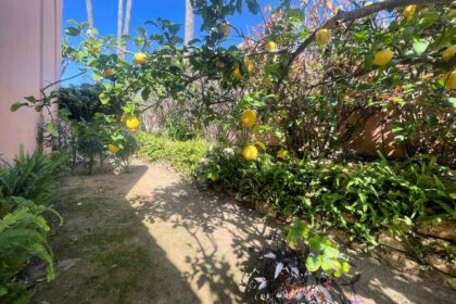 d2cbee31f981ff4113199acf73e89b62 - 20