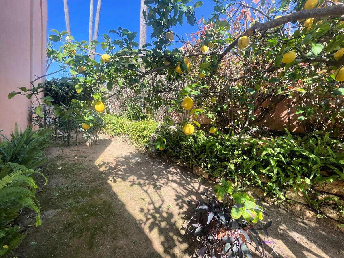 d2cbee31f981ff4113199acf73e89b62 - 20