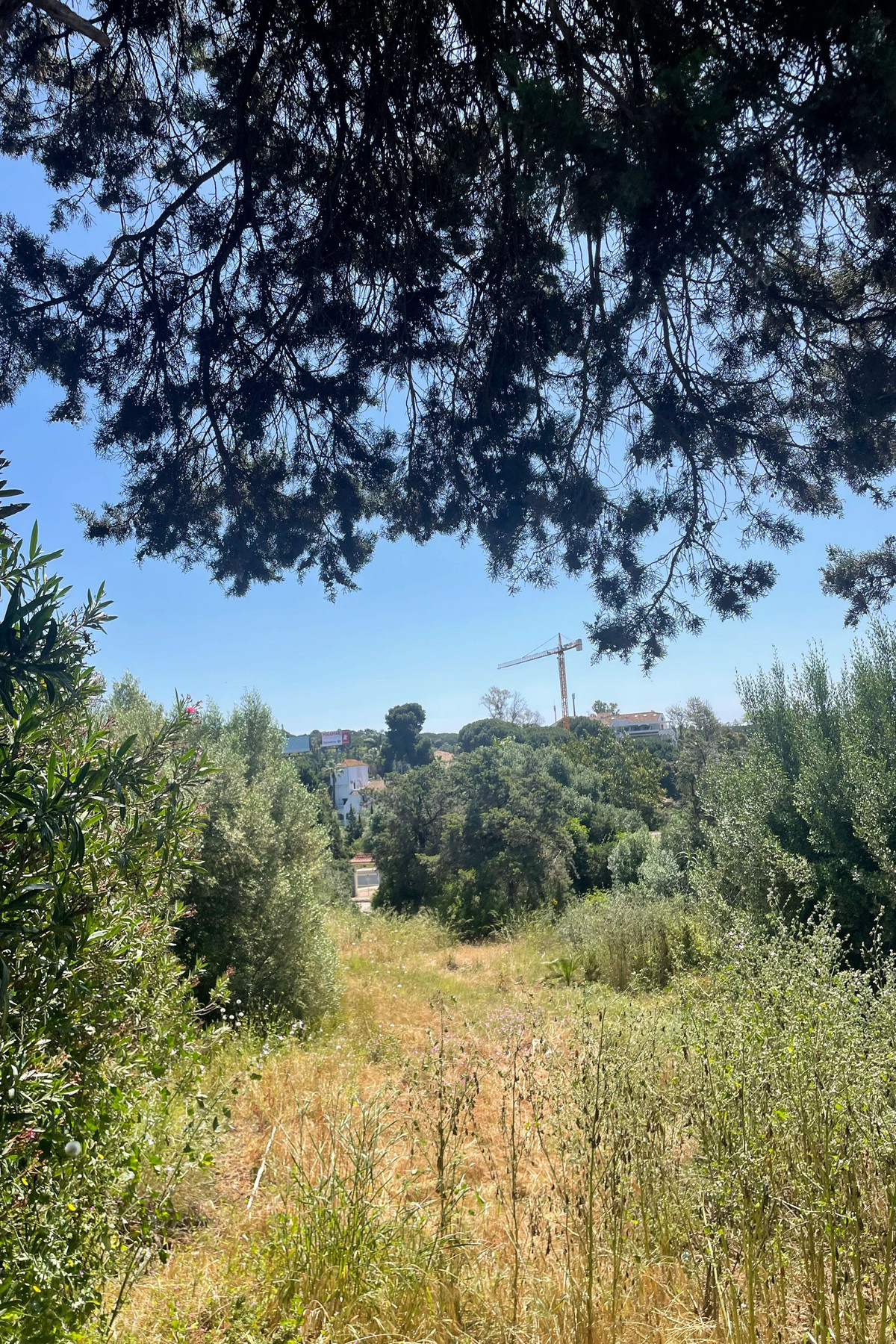 fe8682f73c86188f293fe28062223b33 - 15