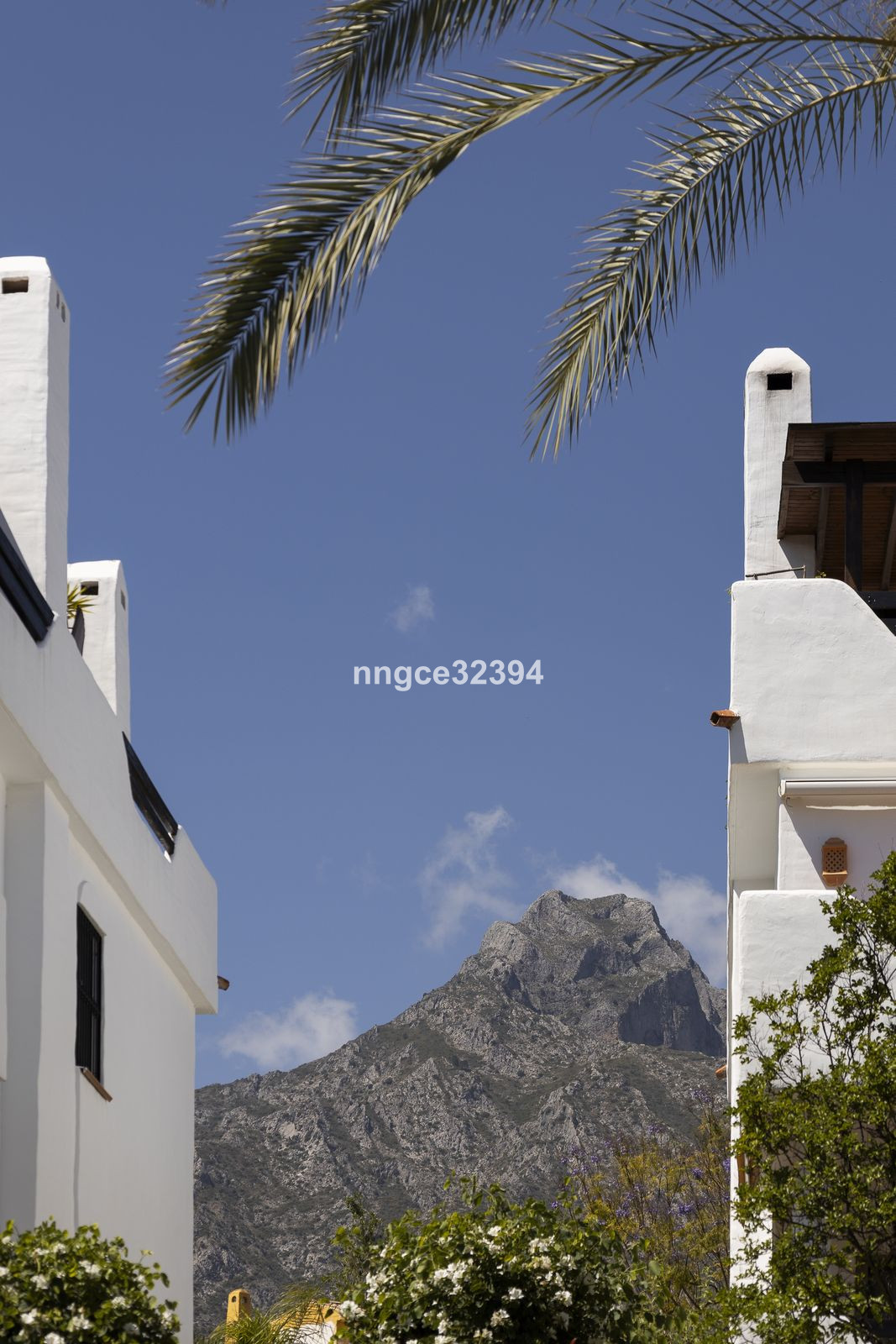 16a685289068635d4a4d9c935dea4e13 - 2